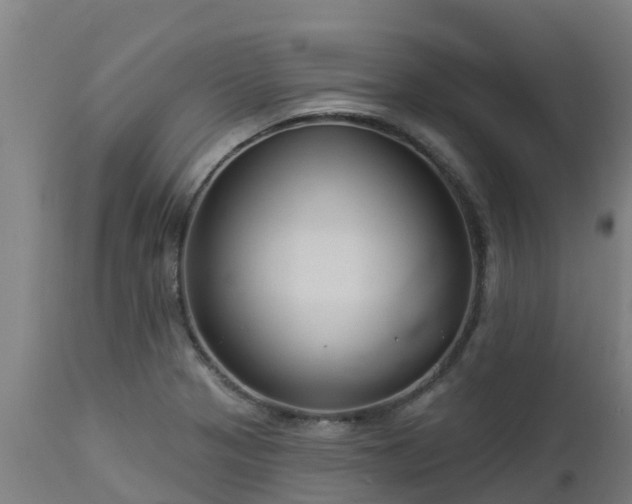 X0000112891321200908281651