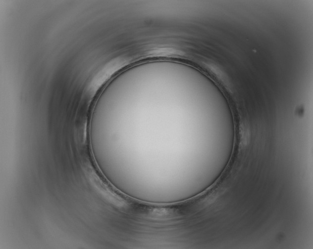 X0000112891322200908281651