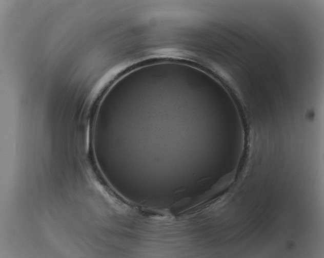 X0000112891323200908281651