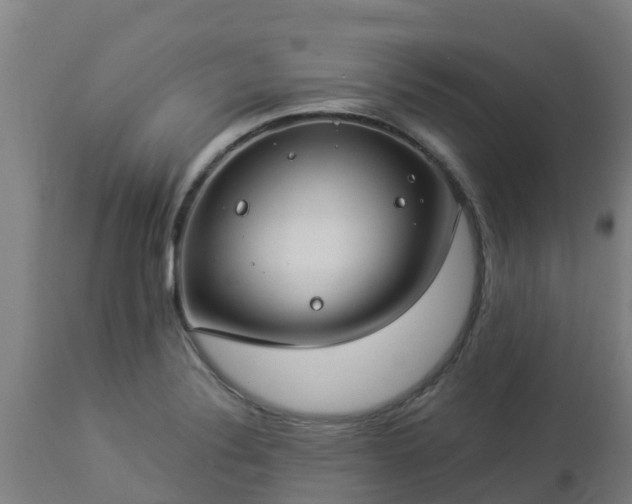 X0000112891324200908281651