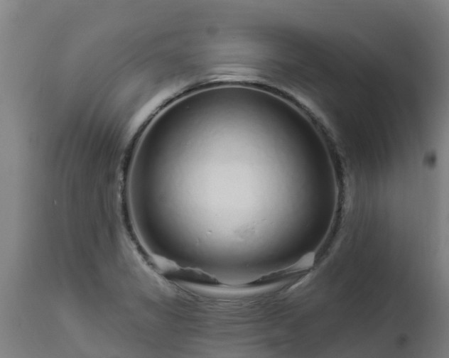 X0000112891325200908281651