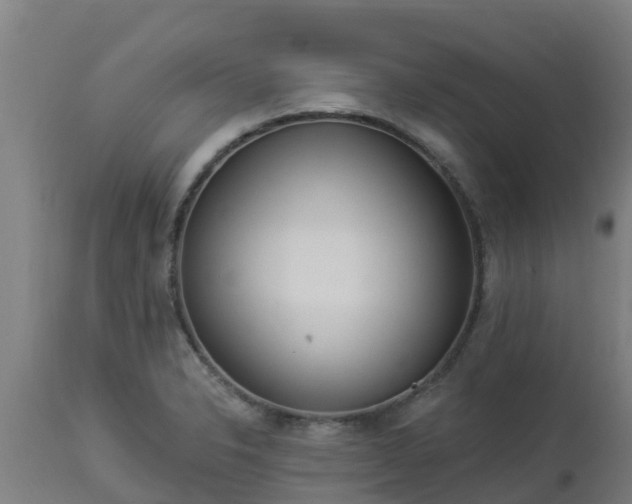 X0000112891326200908281651
