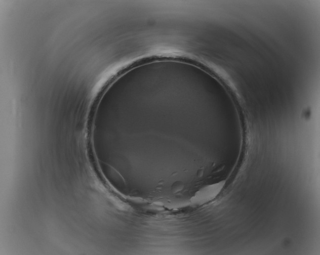 X0000112891327200908281651