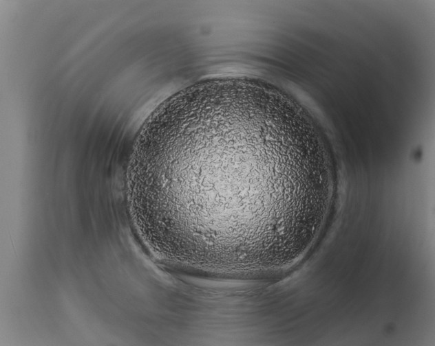 X0000112891329200908281651