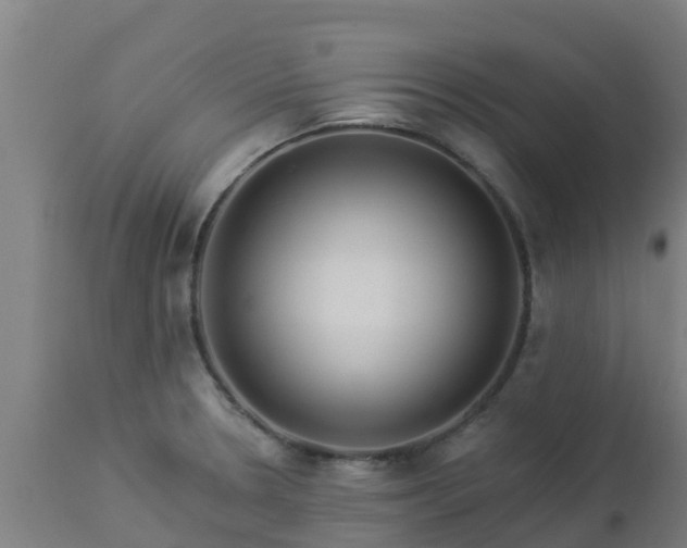 X0000112891330200908281651