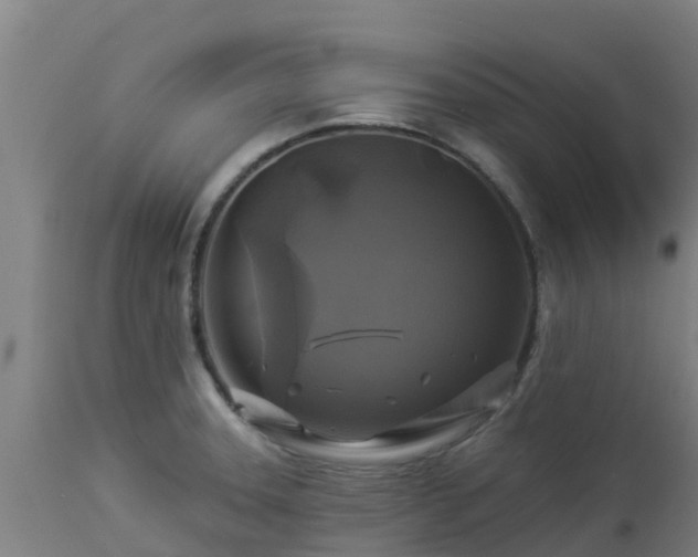 X0000112891331200908281651