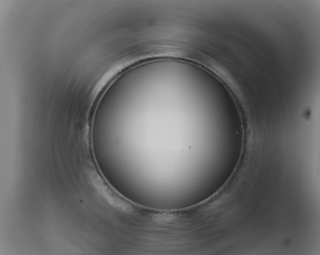 X0000112891332200908281651
