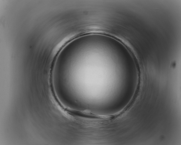 X0000112891333200908281651