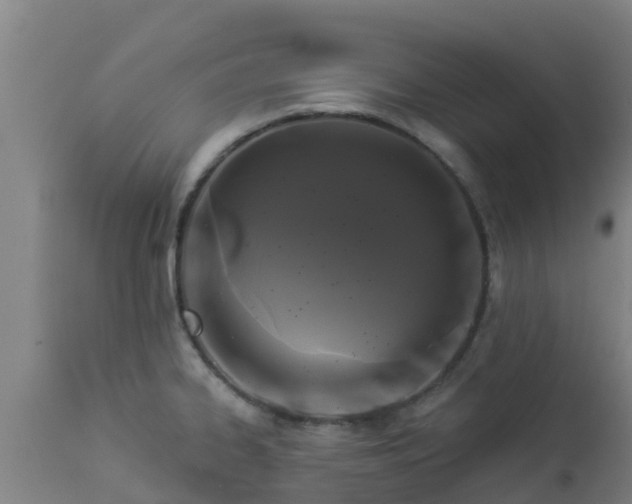 X0000112891334200908281651