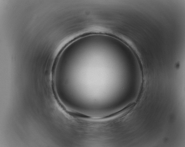 X0000112891335200908281651
