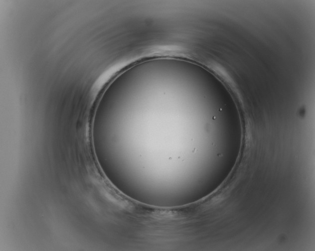 X0000112891336200908281651