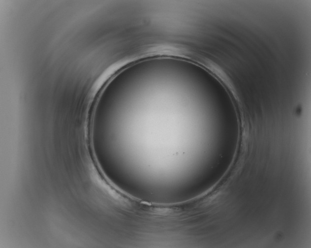 X0000112891339200908281651
