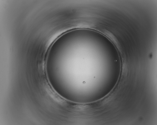 X0000112891340200908281651