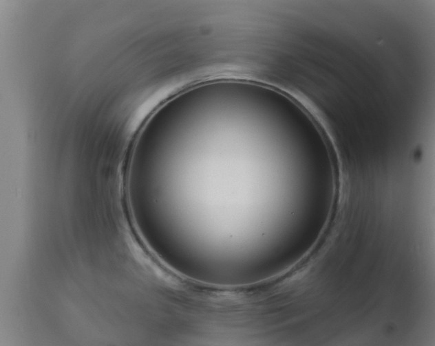 X0000112891341200908281652