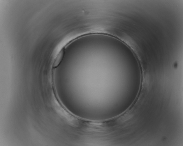 X0000112891342200908281652