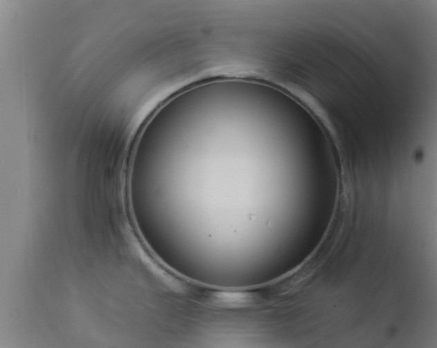 X0000112891343200908281652