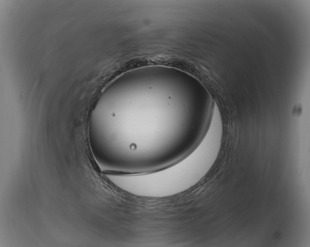 X0000112891345200908281651