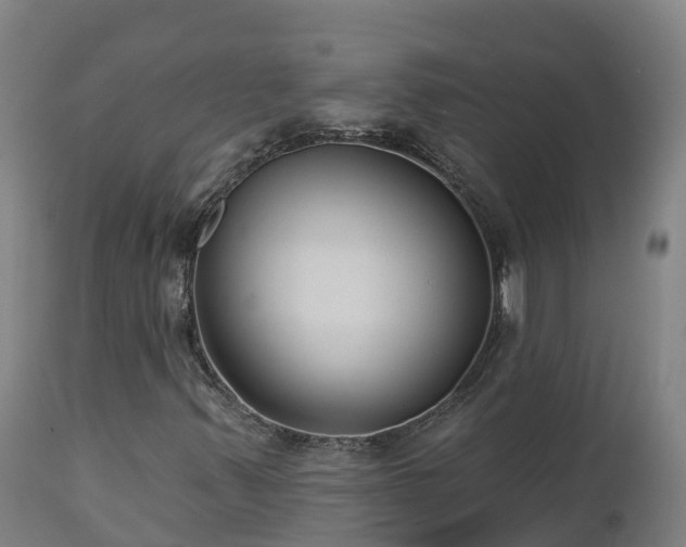 X0000112891347200908281651