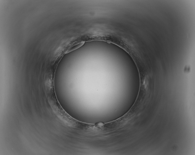 X0000112891348200908281651