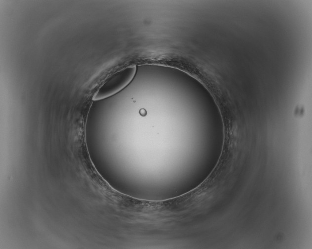 X0000112891349200908281651
