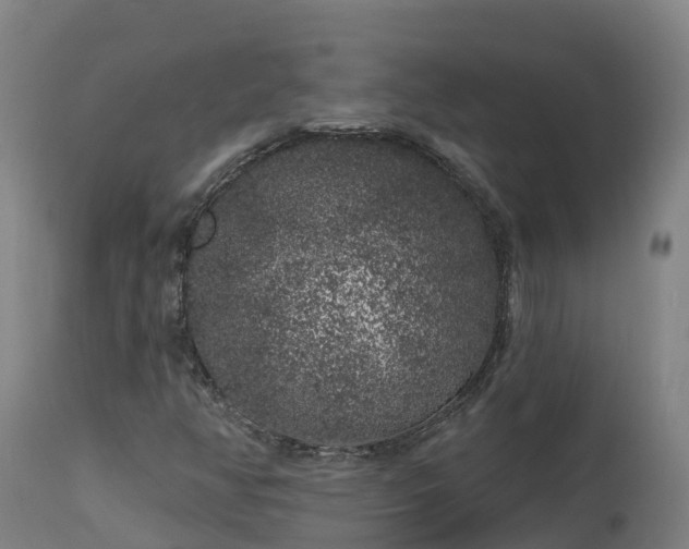X0000112891350200908281651