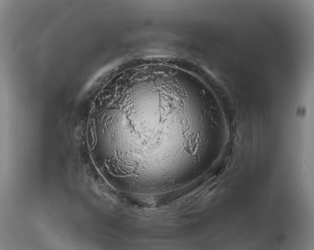 X0000112891351200908281651