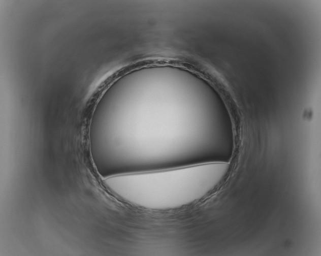 X0000112891352200908281651