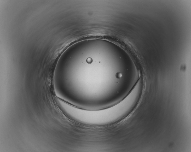 X0000112891353200908281651