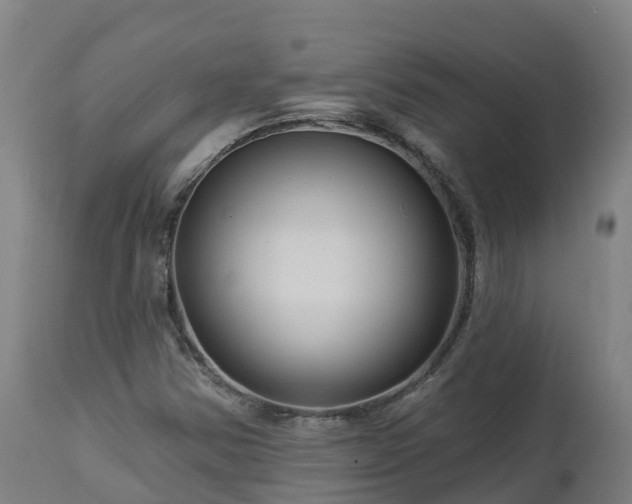 X0000112891354200908281651