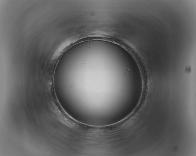 X0000112891355200908281651