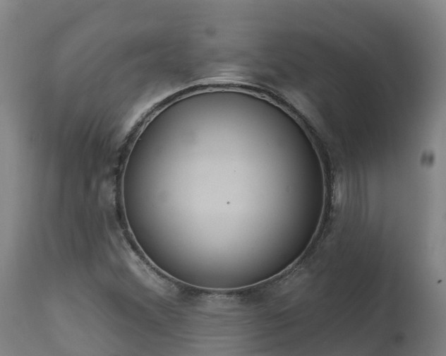X0000112891356200908281651