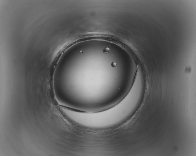 X0000112891357200908281651