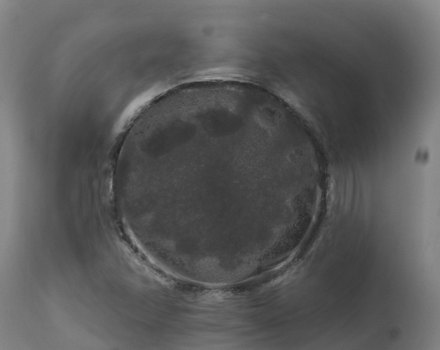 X0000112891358200908281651