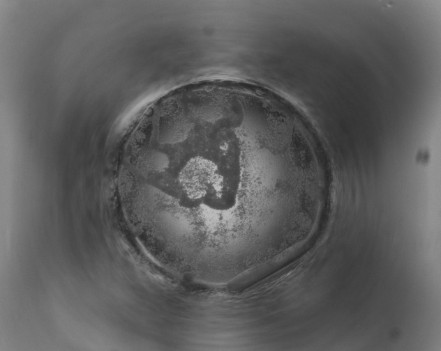 X0000112891359200908281651