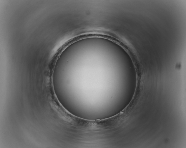X0000112891360200908281651