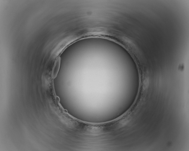 X0000112891361200908281651