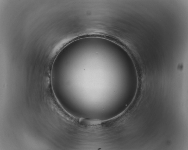 X0000112891363200908281651