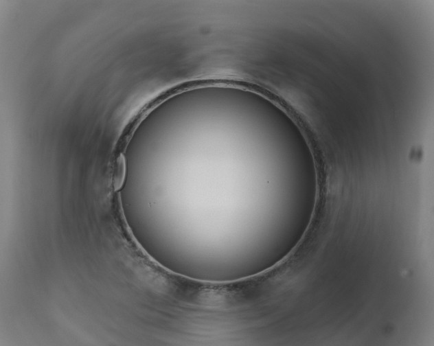 X0000112891364200908281651
