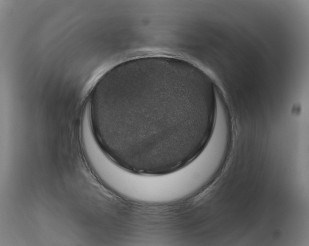 X0000112891365200908281651