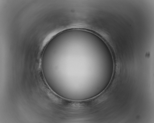 X0000112891366200908281651