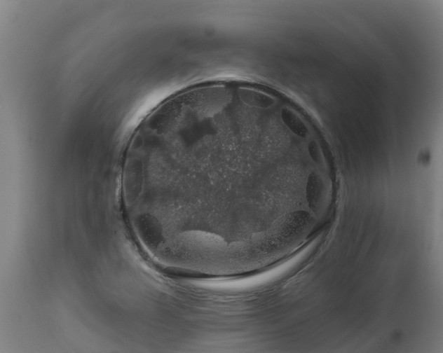 X0000112891367200908281651