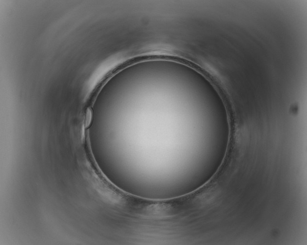X0000112891368200908281651