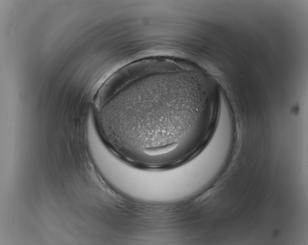 X0000112891369200908281651