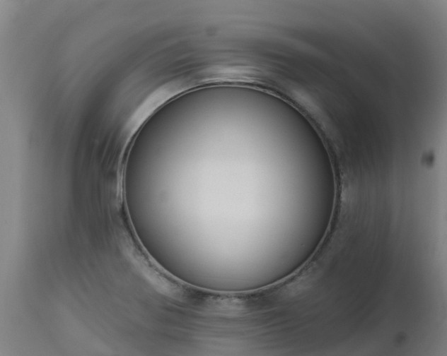 X0000112891370200908281651