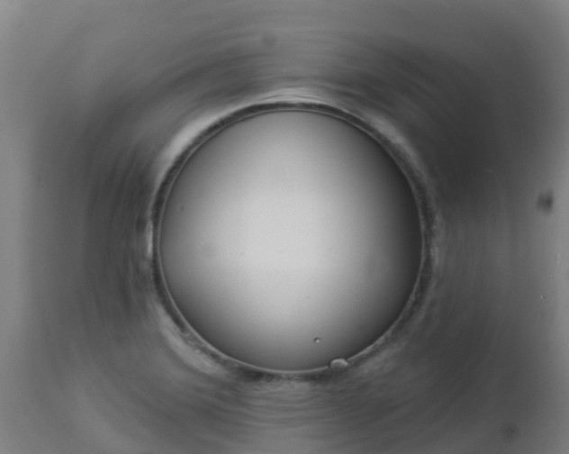 X0000112891372200908281651