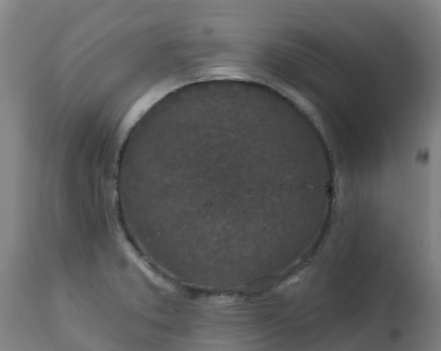 X0000112891373200908281651