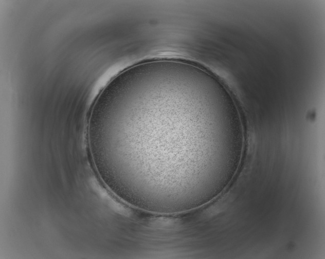 X0000112891374200908281650