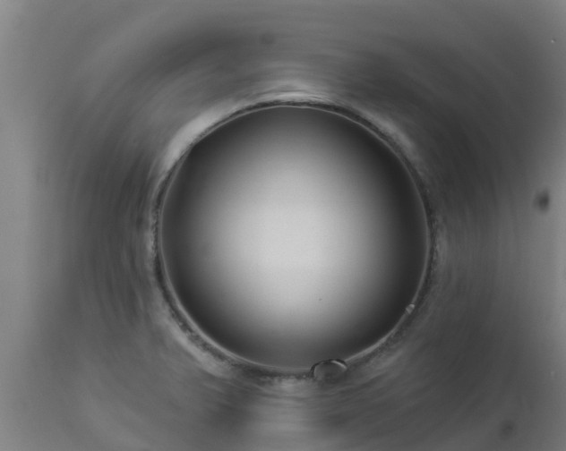 X0000112891375200908281650