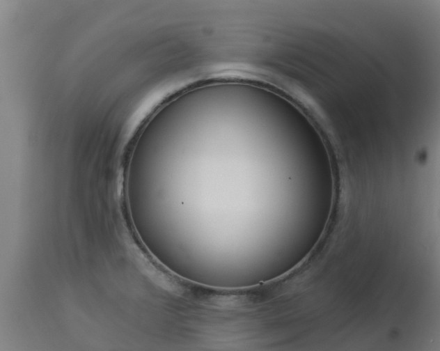X0000112891376200908281650