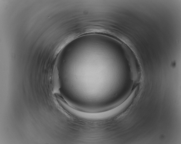 X0000112891377200908281650